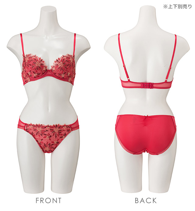 6217|ラヴィアドゥ 切替チュールレース 22464シリーズ スタンダードショーツ 全3色 M/