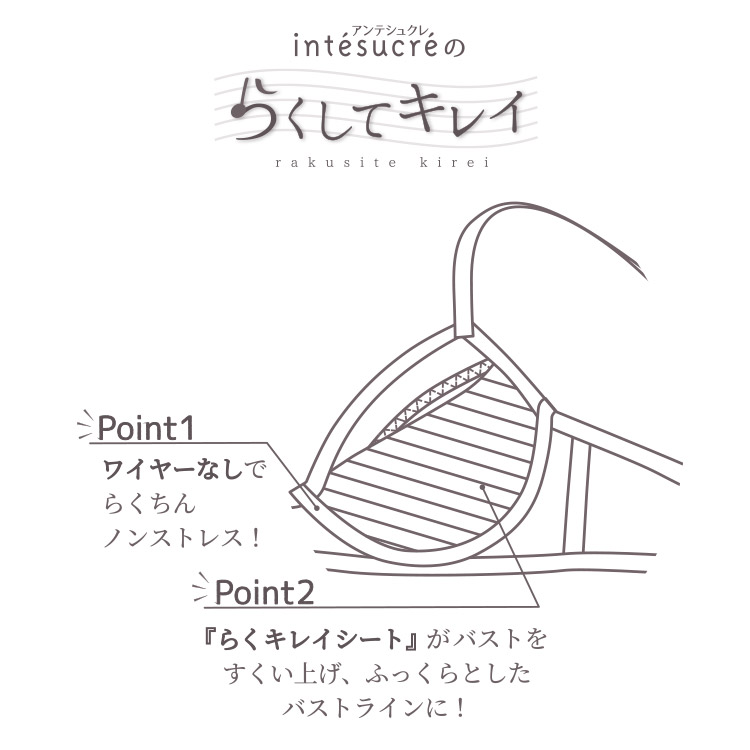 IBN308|アンテシュクレ intesucre らくしてキレイ ノンワイヤー ブラセット ナチュラルバストメイク 全3色 B-E/65-75