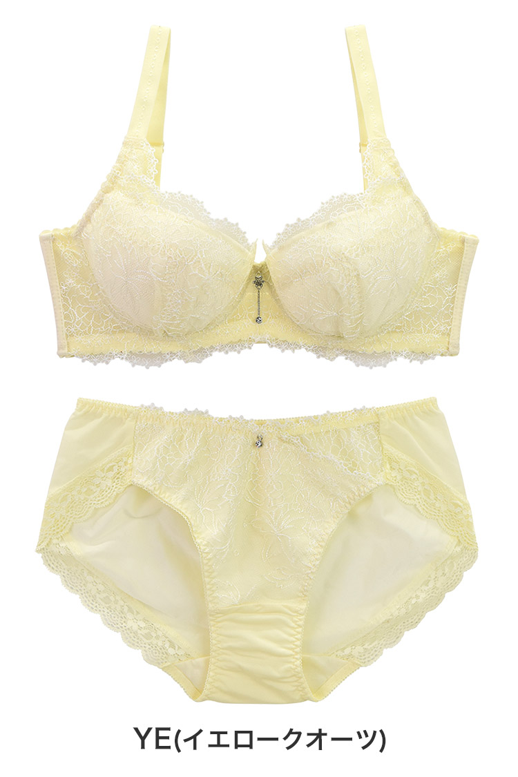 IBT312|アンテシュクレ intesucre 脇高ブラ Premium ブラセット 全3色 B-G/65-80