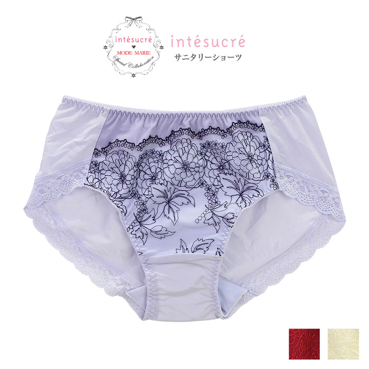 ISE312|アンテシュクレ intesucre 脇高ブラ Premium IBT312ペア いつでも使えるサニタリーショーツ M-LL
