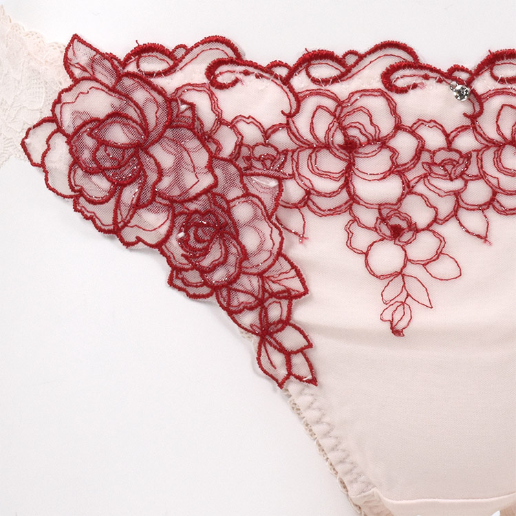 ISP319|アンテシュクレ intesucre narue×intesucreコラボ IBT319ペア バックレースショーツ 全4色 M