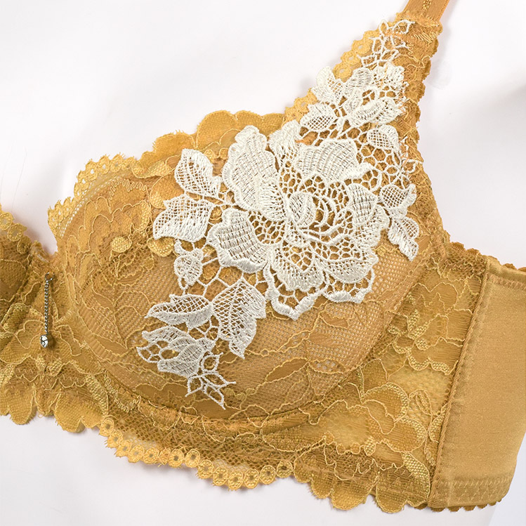 IBT326|アンテシュクレ intesucre 脇高ブラ Premium ブラセット 全4色 B-J/65-80