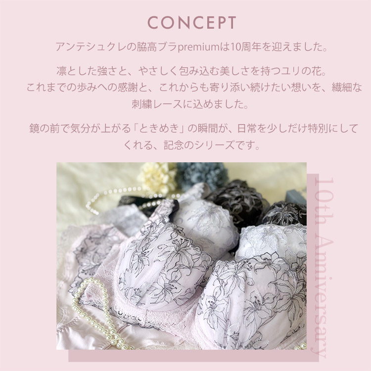 IBT390|アンテシュクレ intesucre 脇高ブラ Premium ブラジャー単品 ふっくらデコルテメイク BCDEFGHIJカップ アンダー60/65/70/75cm