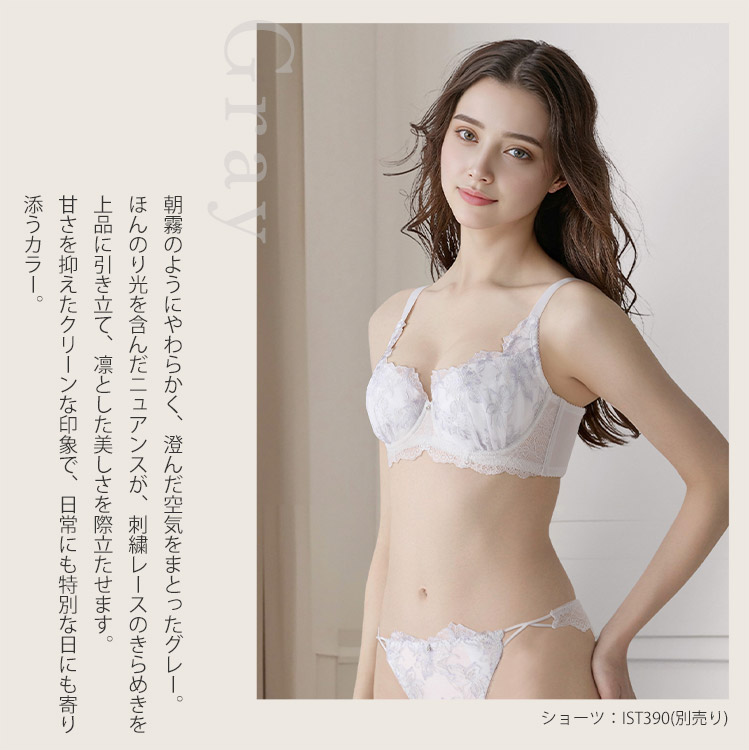 IBT390|アンテシュクレ intesucre 脇高ブラ Premium ブラジャー単品 ふっくらデコルテメイク BCDEFGHIJカップ アンダー60/65/70/75cm