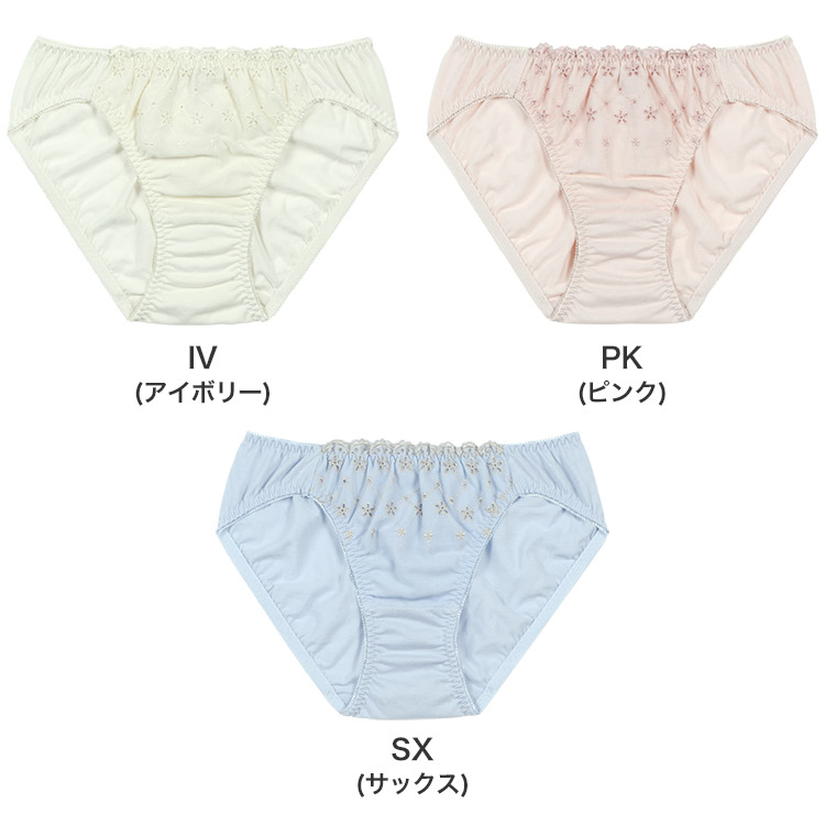 ISC388|アンテシュクレ intesucre コットンショーツ スタンダードショーツ 綿100% S/M/L/LL