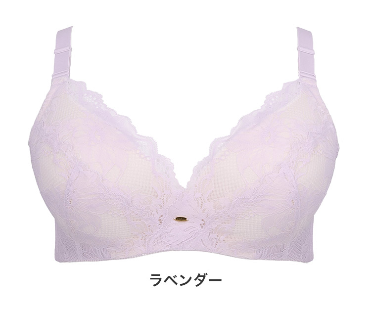 90563|グラマープリンセス 美胸キーパー ブラジャー単品 大きいサイズ FGHカップ アンダー90/95/100cm