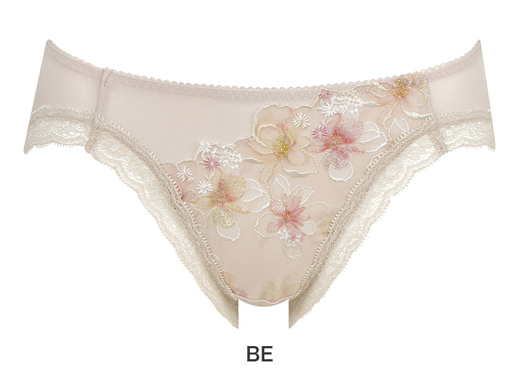 PRA198|ワコール ハグするブラ BRB498シリーズ スタンダードショーツ M/L/LL