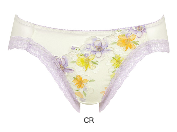 PRA198|ワコール ハグするブラ BRB498シリーズ スタンダードショーツ M/L/LL