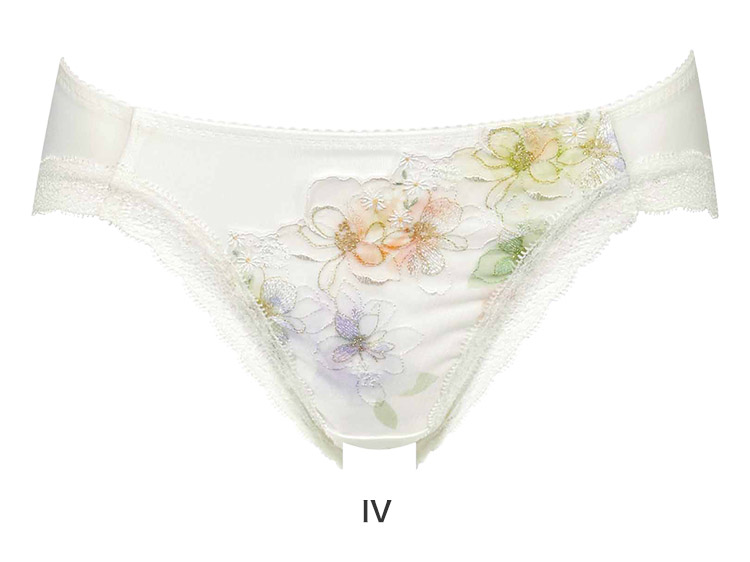 PRA198|ワコール ハグするブラ BRB498シリーズ スタンダードショーツ M/L/LL