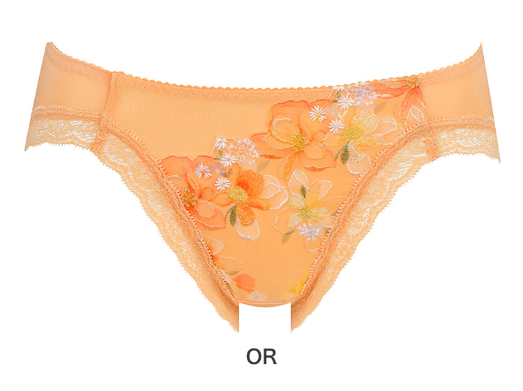 PRA198|ワコール ハグするブラ BRB498シリーズ スタンダードショーツ M/L/LL