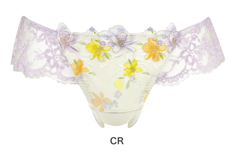 PRA498|ワコール ハグするブラ BRB498シリーズ Tバックショーツ M