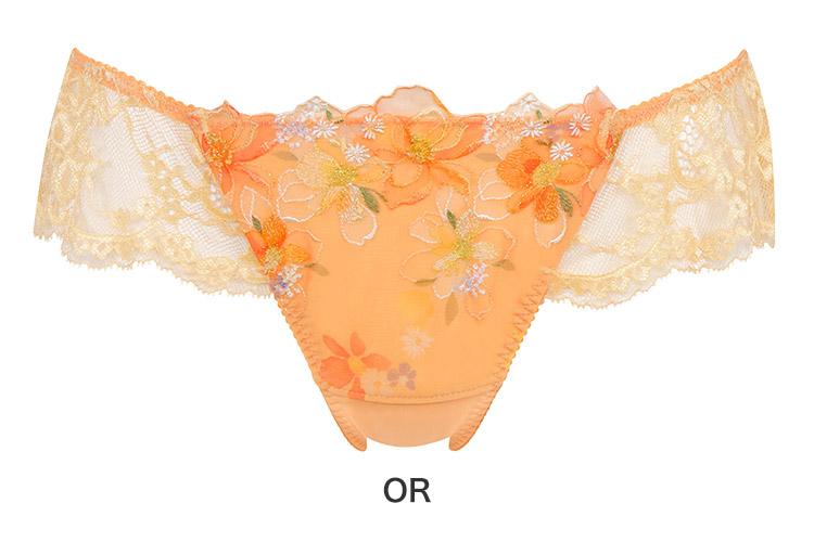 PRA498|ワコール ハグするブラ BRB498シリーズ Tバックショーツ M