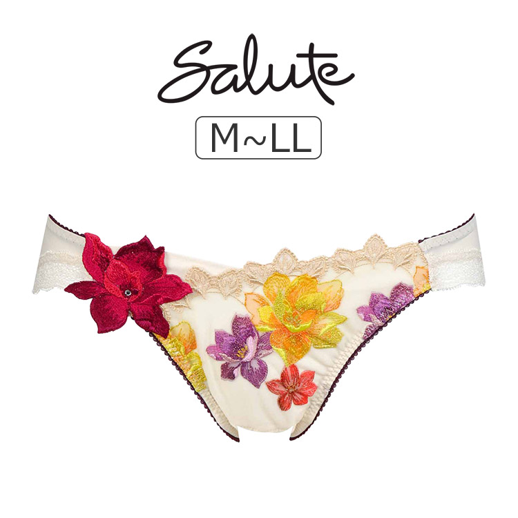 PTJ730|ワコール サルート 30グループ 30G スタンダードショーツ M/L/LL