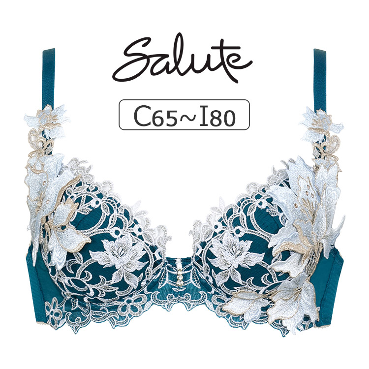 BTJ412｜ワコール サルート 12グループ 12G ブラジャー単品 P-upタイプ CDEFGHIカップ  アンダー65/70/75/80cm