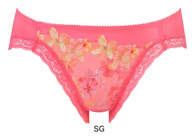 PRA114|ワコール 重力に負けないバストケアBra BRB414シリーズ スタンダードショーツ M/L/LL