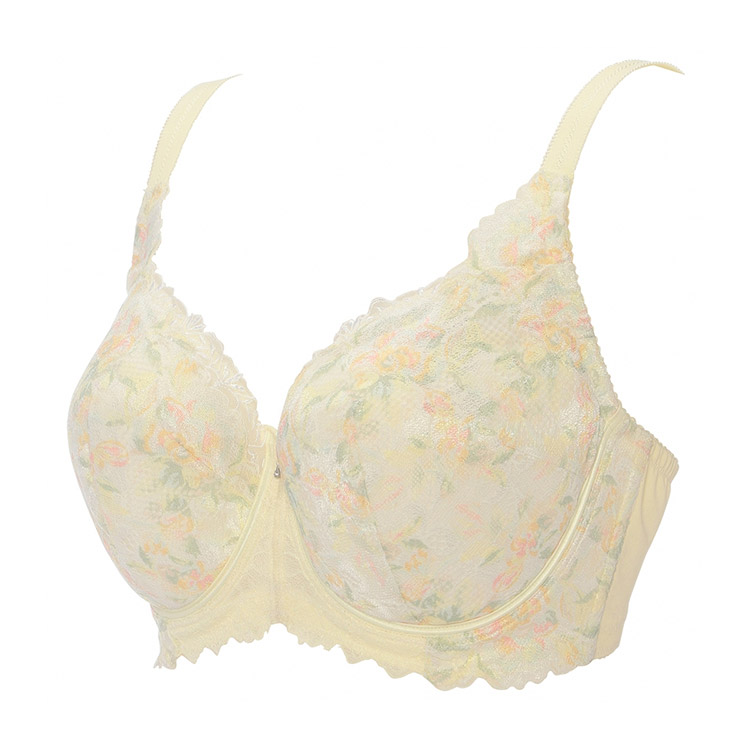 TR0121WP|トリンプ レッドレーベル バイ トリンプ TR0121シリーズ ブラジャー単品 フルカップブラジャー EFGカップ アンダー75/80/85/90cm