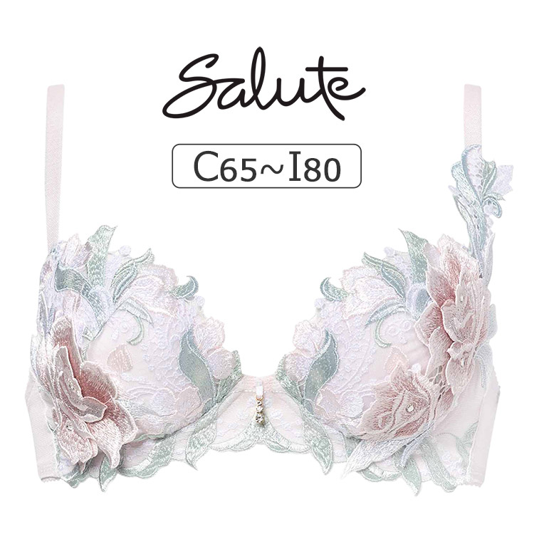 BTJ422|ワコール サルート 22グループ 22G ブラジャー単品 P-upタイプ CDEFGHIカップ アンダー 65/70/75/80cm