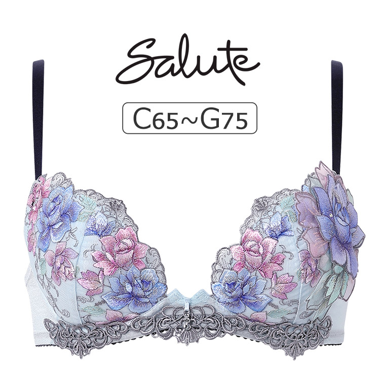 BTJ723|ワコール サルート 23グループ 23G ブラジャー単品 フロントエックスプラスブラ CDEFGカップ アンダー 65/70/75cm