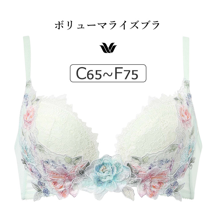 BXD722｜ワコール プレミアム 22series BXD422シリーズ ボリューマライズブラ ブラジャー単品 CDEFカップ  アンダー65/70/75cm