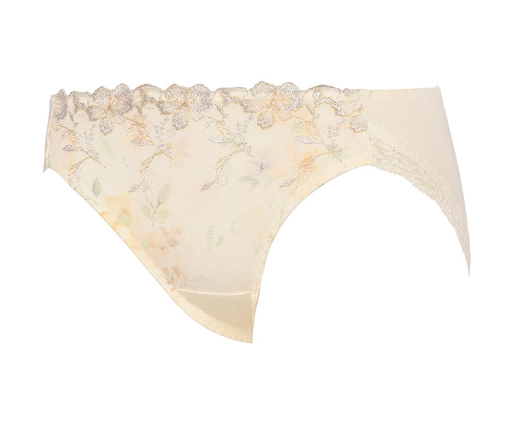 TR623Hikini|トリンプ 恋するブラ TR623シリーズ スタンダードショーツ M/L