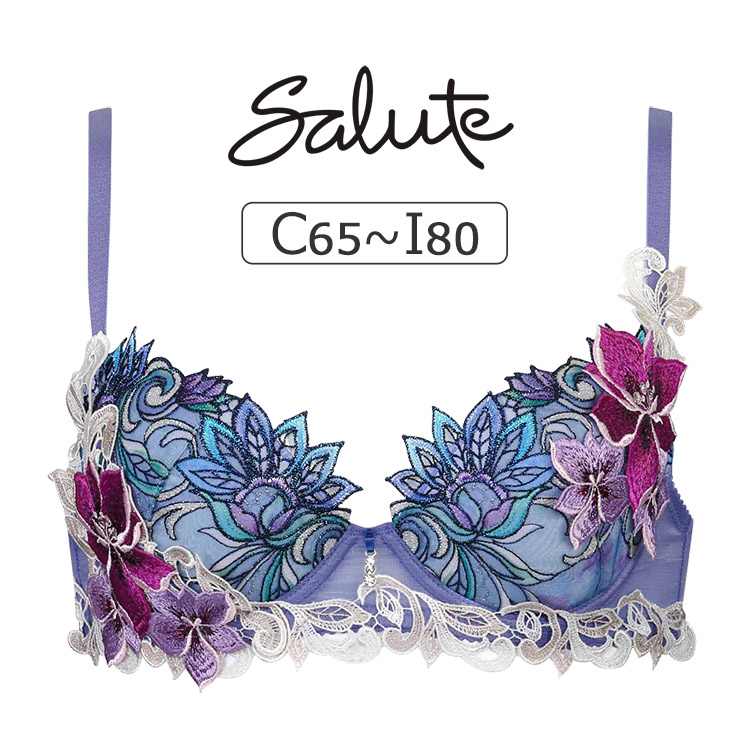 BTJ480｜ワコール サルート 80グループ 80G ブラジャー単品 P-upタイプ CDEFGHIカップ  アンダー65/70/75/80/85cm
