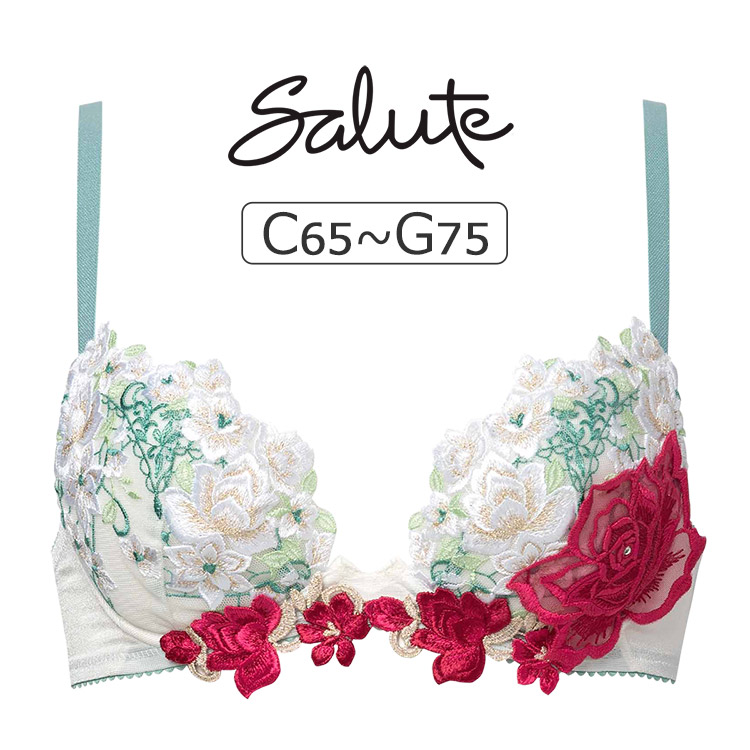 BTJ716｜ワコール サルート 16グループ 16グループ 16G ブラジャー単品 フロントエックス CDEFGカップ  アンダー65/70/75cm