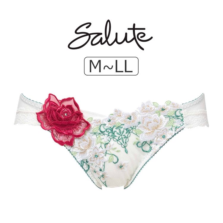 PTJ716｜ワコール サルート 16グループ 16グループ 16G スタンダードショーツ M/L/LL