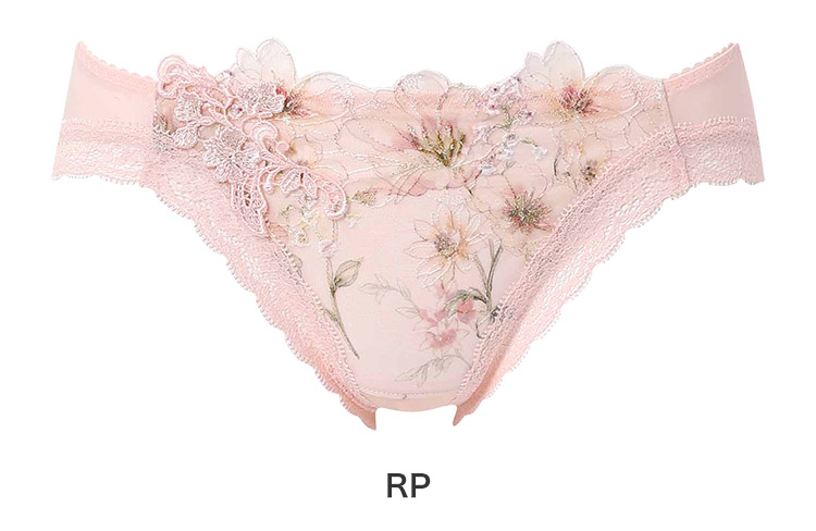 PXD117|ワコール プレミアム 17series BXD417シリーズ スタンダードショーツ M/L/LL/3L