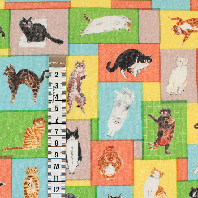 生地 Paper message-ペーパーメッセージ- 猫と小部屋/シーチング(EGXA-8006) 色番1A 09Ac04_