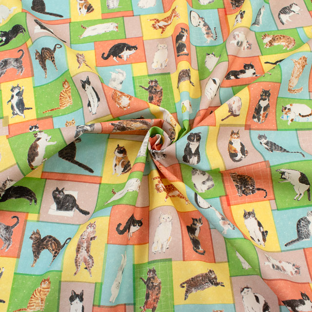 生地 Paper message-ペーパーメッセージ- 猫と小部屋/シーチング(EGXA-8006) 色番1A 09Ac04_