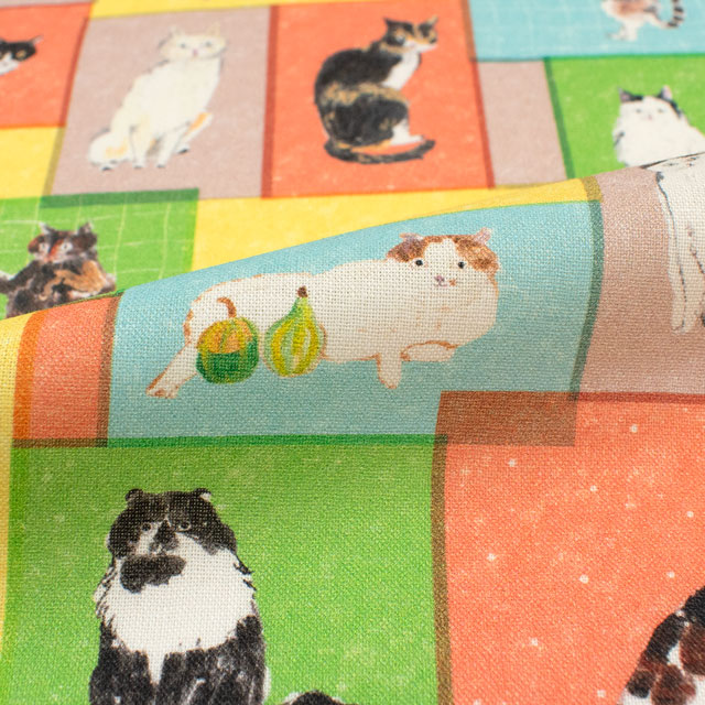 生地 Paper message-ペーパーメッセージ- 猫と小部屋/シーチング(EGXA-8006) 色番1A 09Ac04_