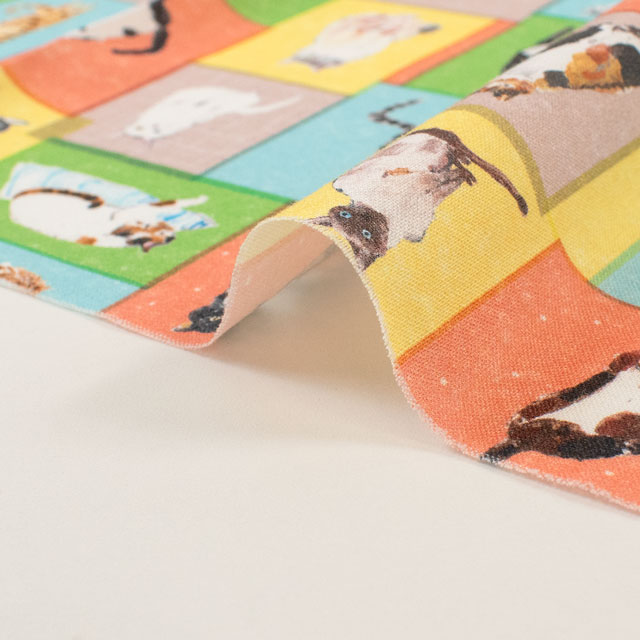 生地 Paper message-ペーパーメッセージ- 猫と小部屋/シーチング(EGXA-8006) 色番1A 09Ac04_