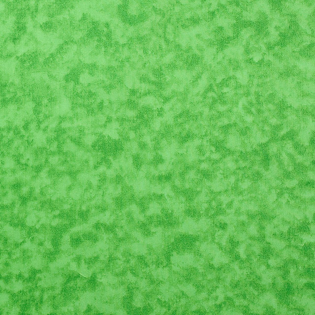 56.ライトグリーン