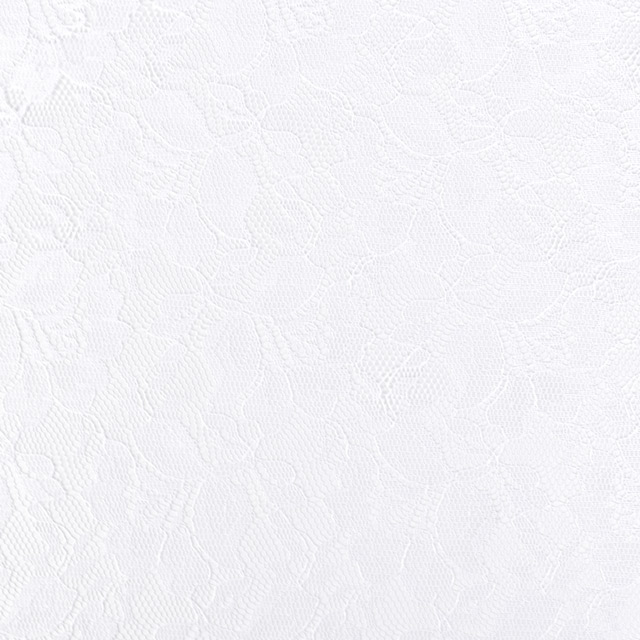 生地 ラッセルレース(12887) 1.白 10Ac04_