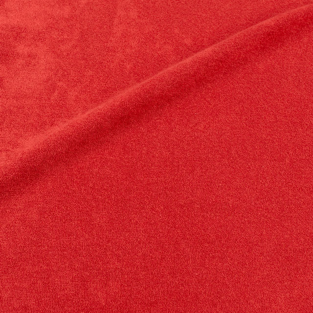 198.ポインセチア