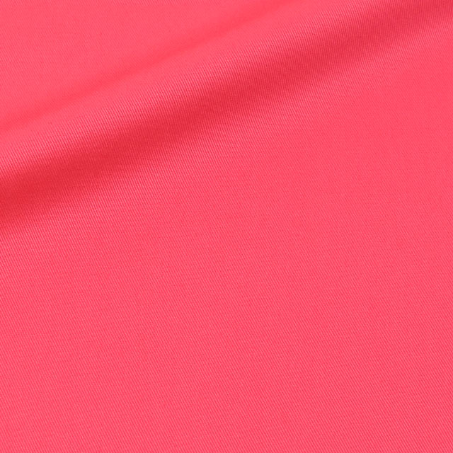 290.カメリアピンク