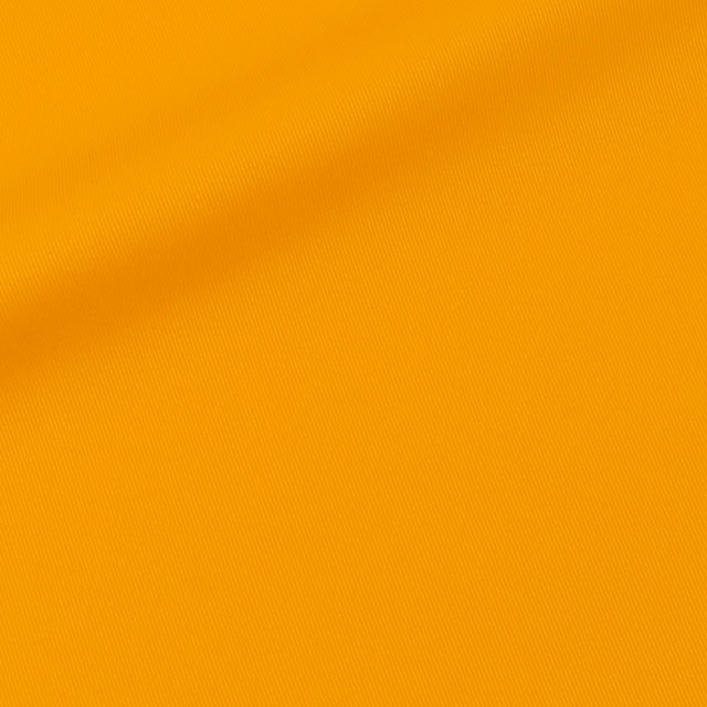 304.シチリアンイエロー