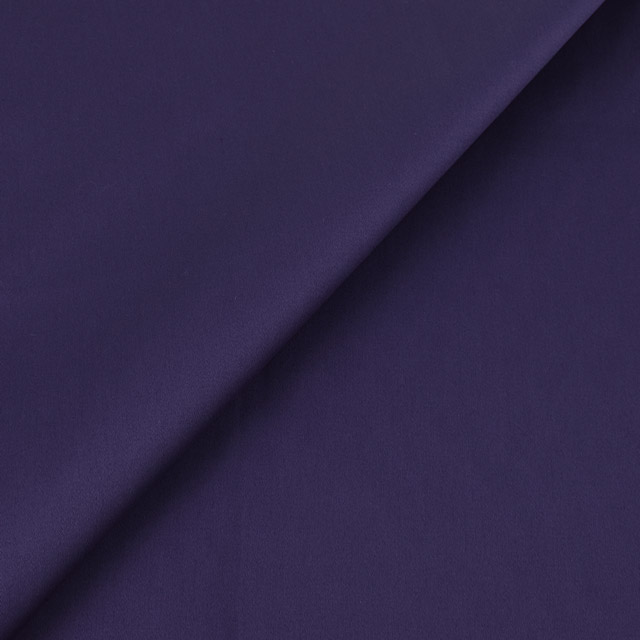 11.バイオレット