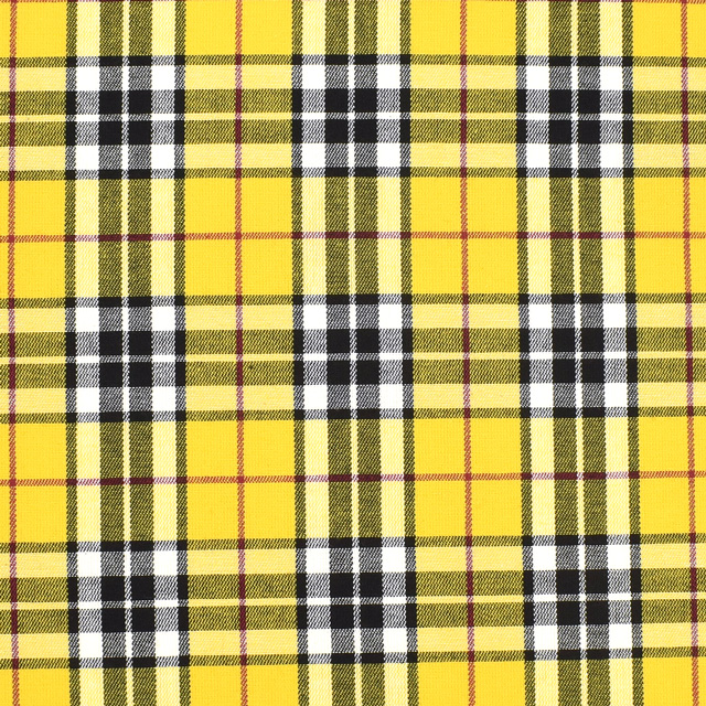 23.黄色×赤ライン