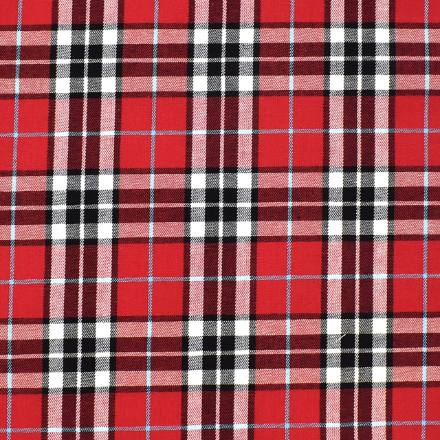 30.赤×水色ライン