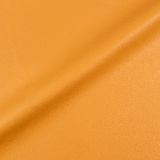 L-6580(8699).インディアンイエロー