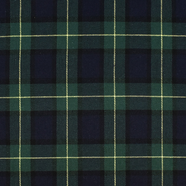 生地 ロイヤルタータン(215001) 10.グリーン×ネイビーイエローライン 09Bk22_