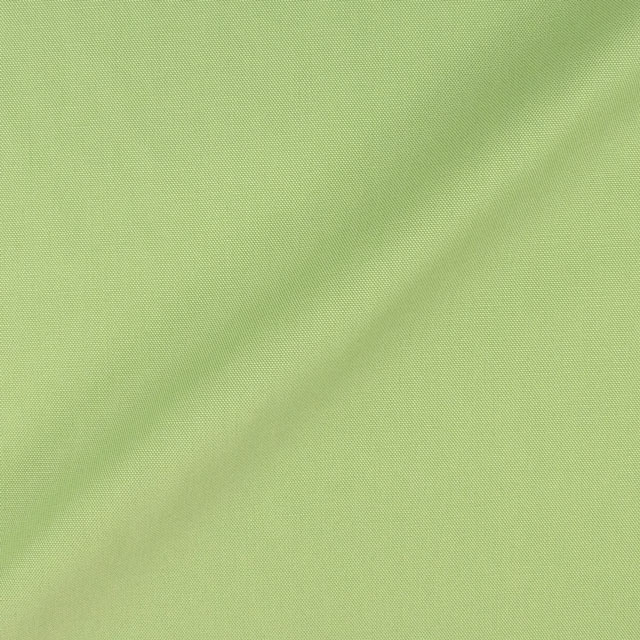 57.ウィローグリーン