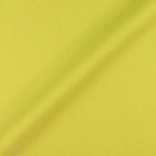 137.マスカットグリーン