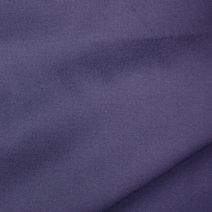 55.アンティークパンジー