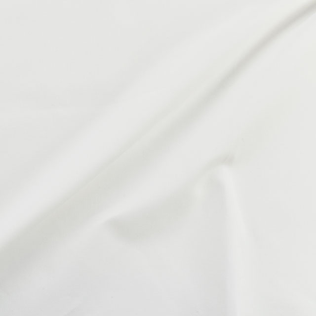 生地 79Aキャンパス(240006) 1.ホワイト 09Bl27_