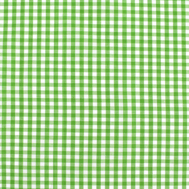 生地 ギンガムチェック(240014-2) 210.グリーン 99Zz99_
