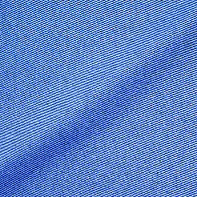 58.アジサイブルー