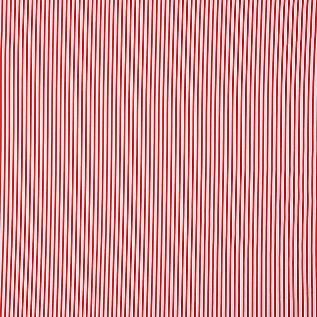 生地 ブロードストライプ（288190-10） 10-7.赤×白 09Bk23_
