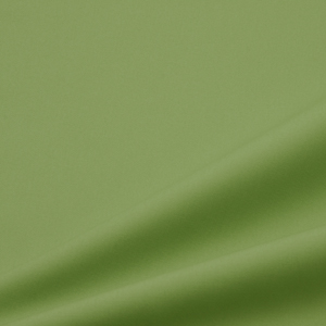 57.ウィローグリーン